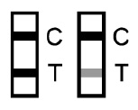 Rapid SARS CoV-2 Antigen Test Card upute za korištenje 12