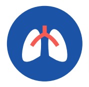 Traheobronhijalna regija dišnih puteva - djelovanje Flaem RF9 raspršivača u ponudi Kvantum-tima