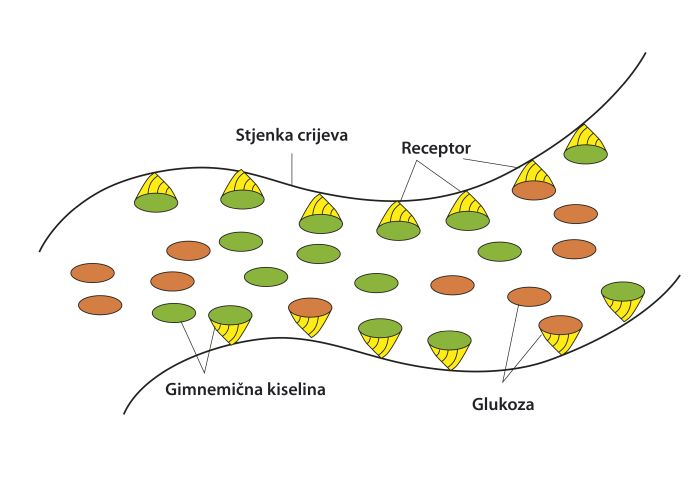 Čaj Srebrna svilenica