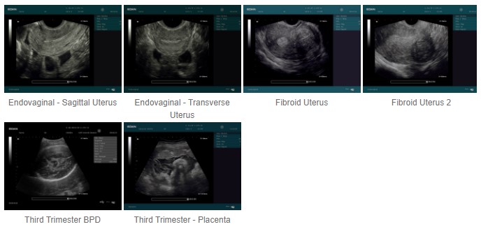 ob&gyn