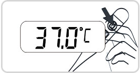 MT-101 MT-101